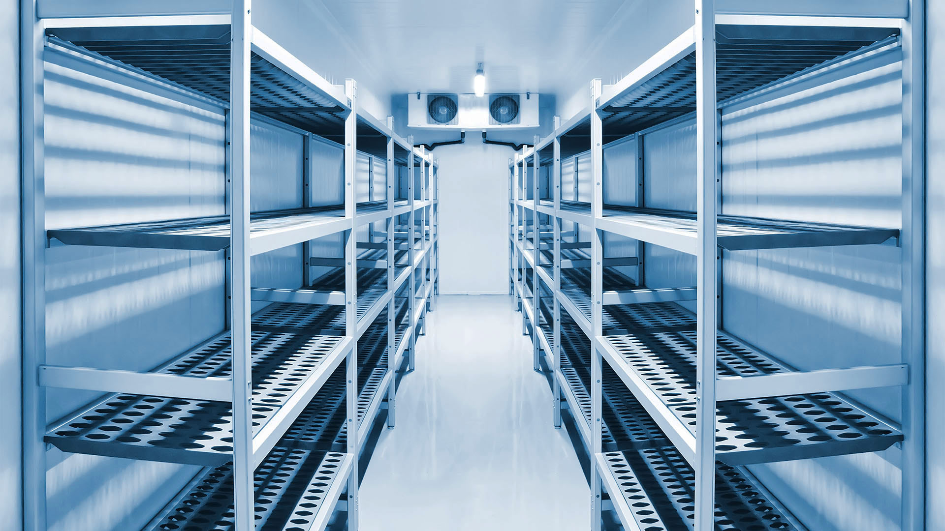 Cold Room Architrave Shelves