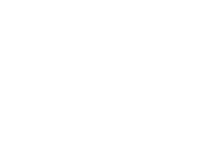 Tshwane Manufacturing logo